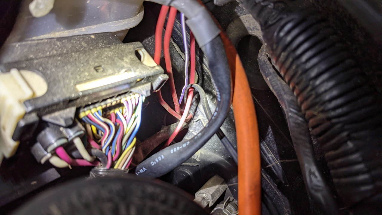 PXL_20210411_130840791.jpg