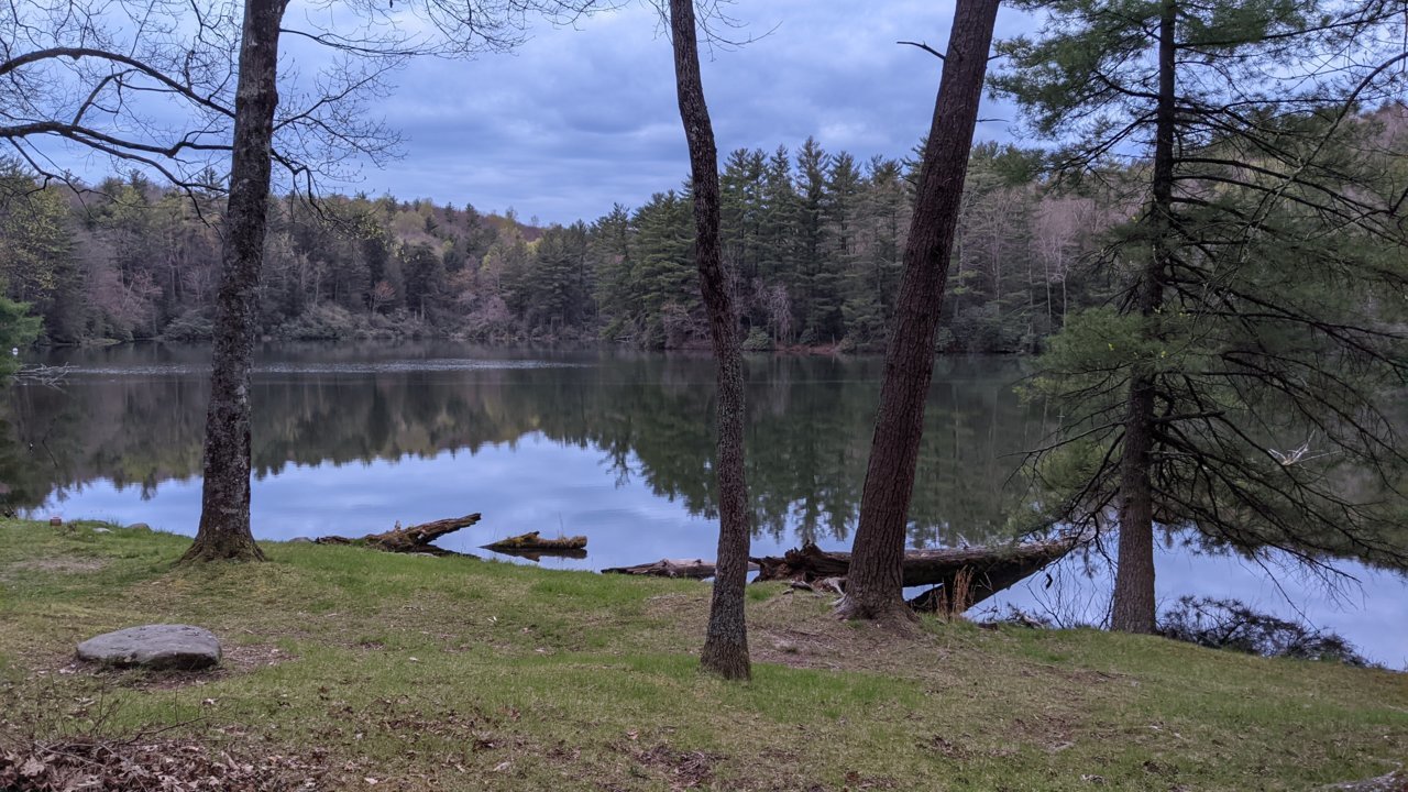PXL_20210423_111047437.jpg