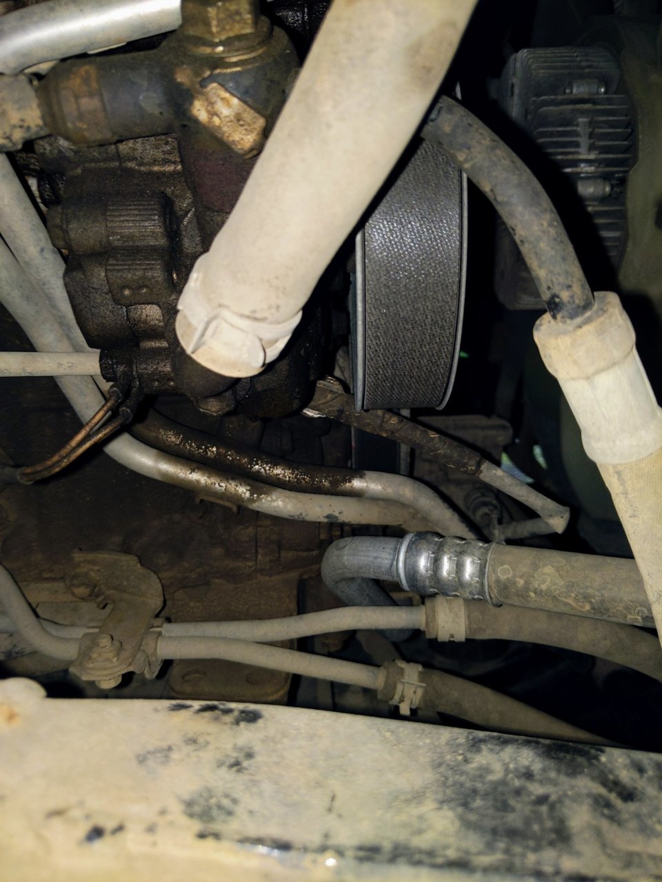 PXL_20210506_224932474.jpg