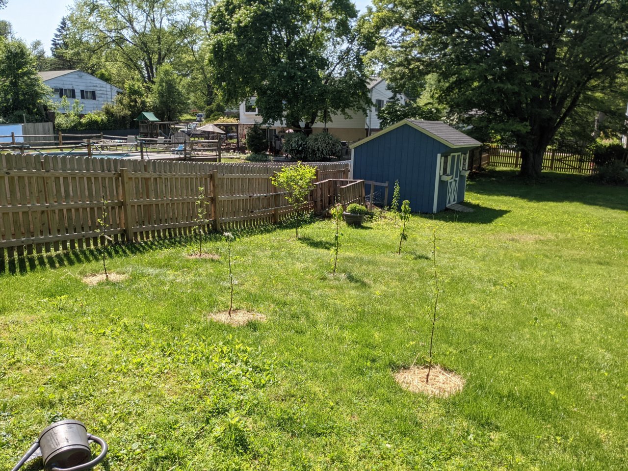 PXL_20210521_192148235.jpg