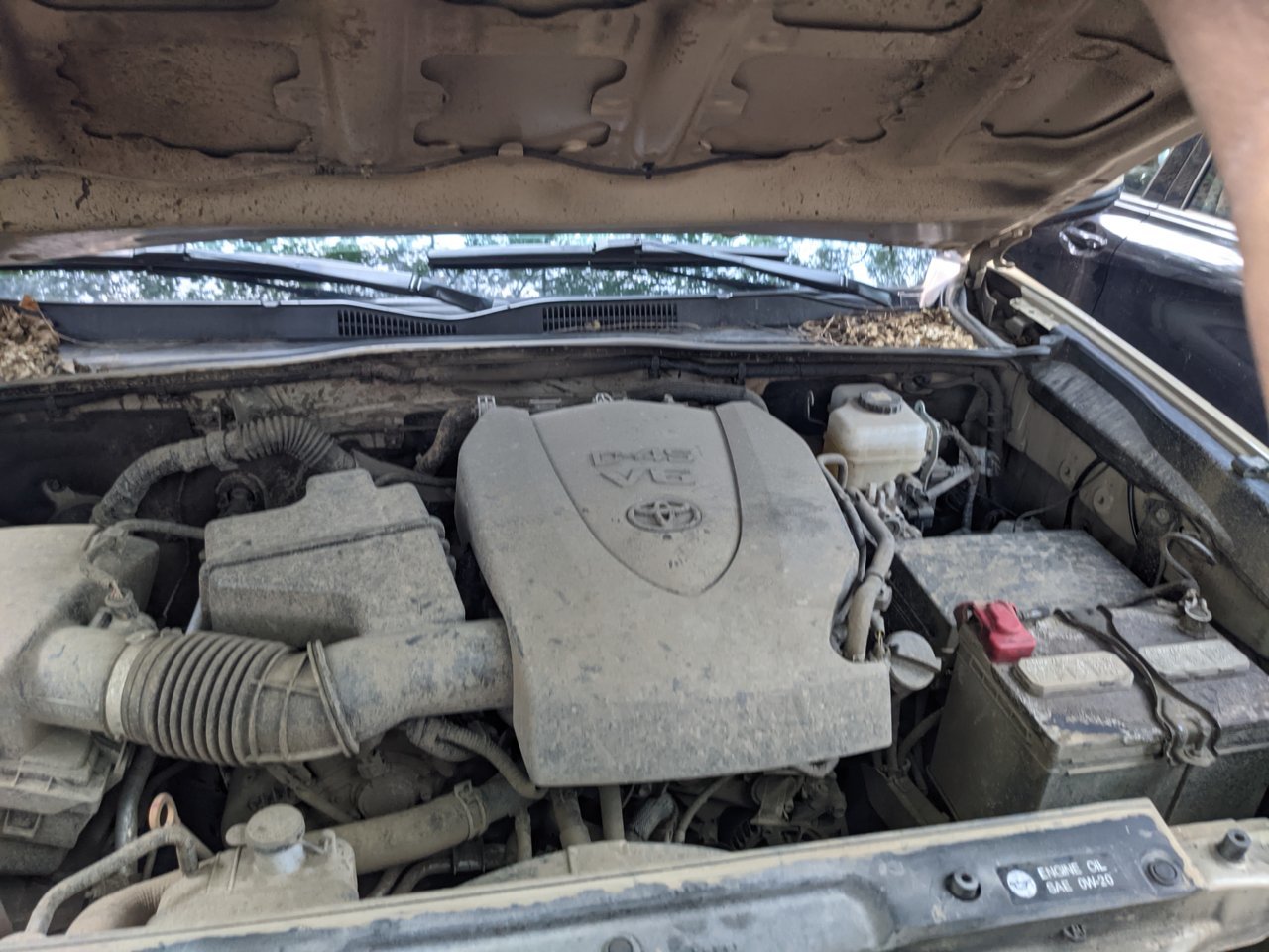 PXL_20210719_184655485.jpg