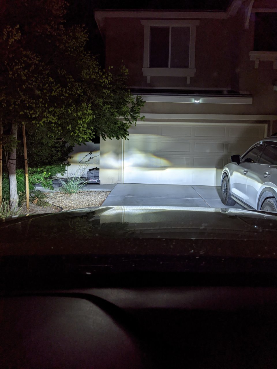 PXL_20210720_084653171.NIGHT.jpg