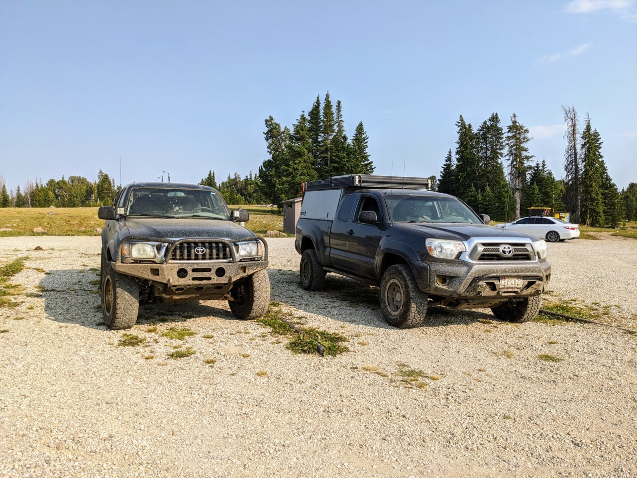 PXL_20210724_235511297.jpg