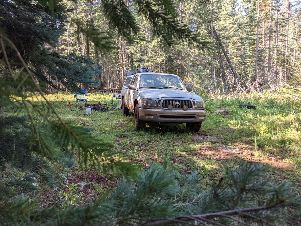 PXL_20210808_160328719.jpg