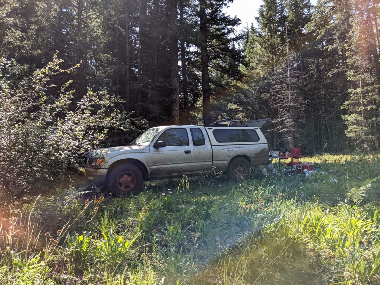 PXL_20210808_160408488.MP.jpg