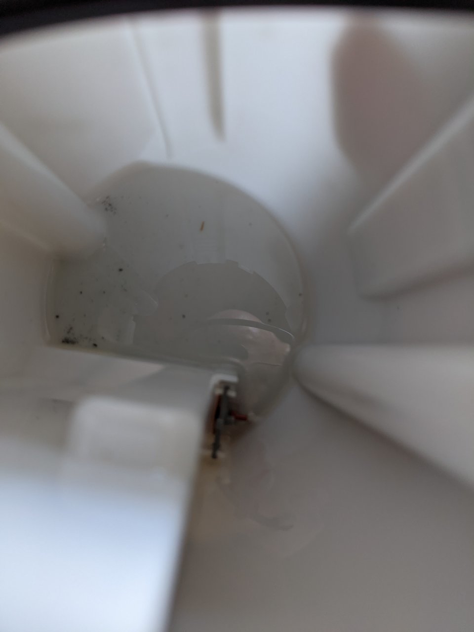 PXL_20210815_153417626.jpg