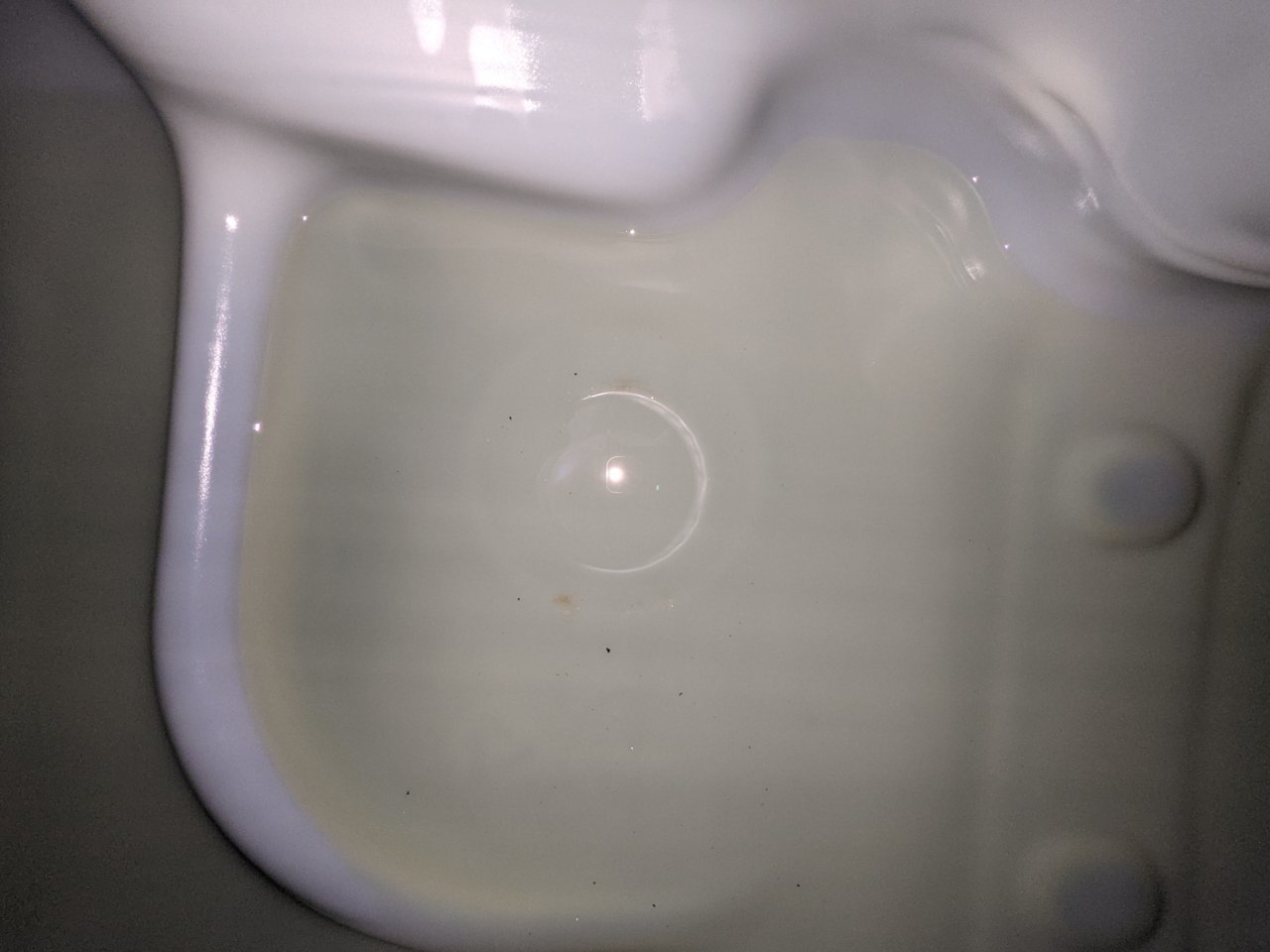 PXL_20210815_153459343.jpg