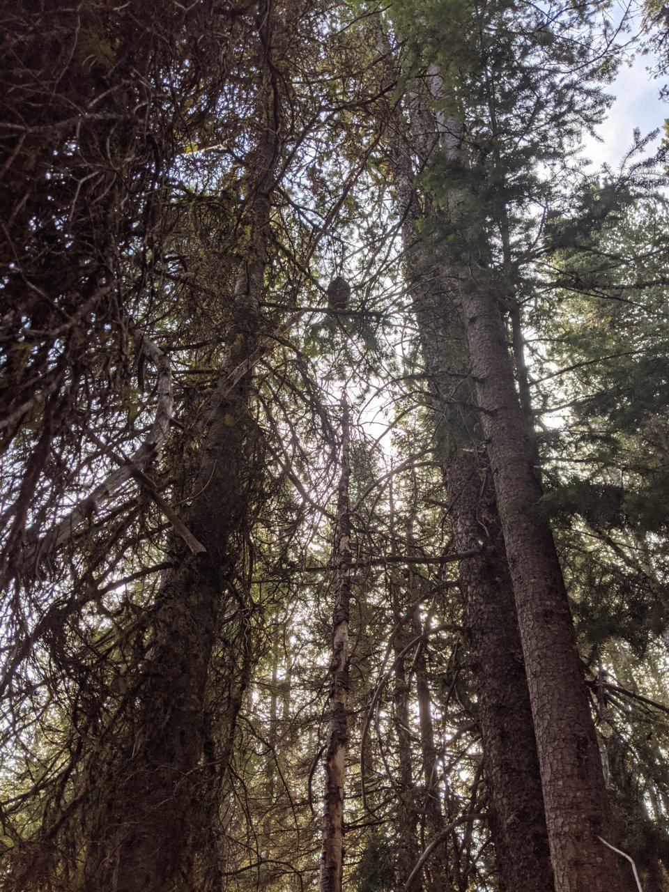 PXL_20210923_164029690.jpg