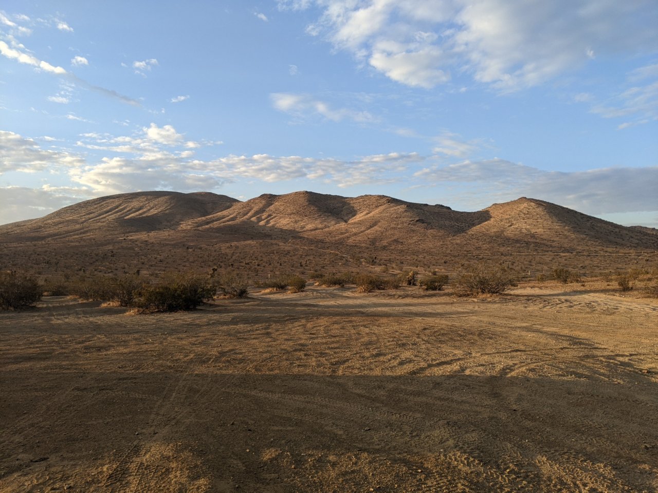 PXL_20210925_141027278.jpg