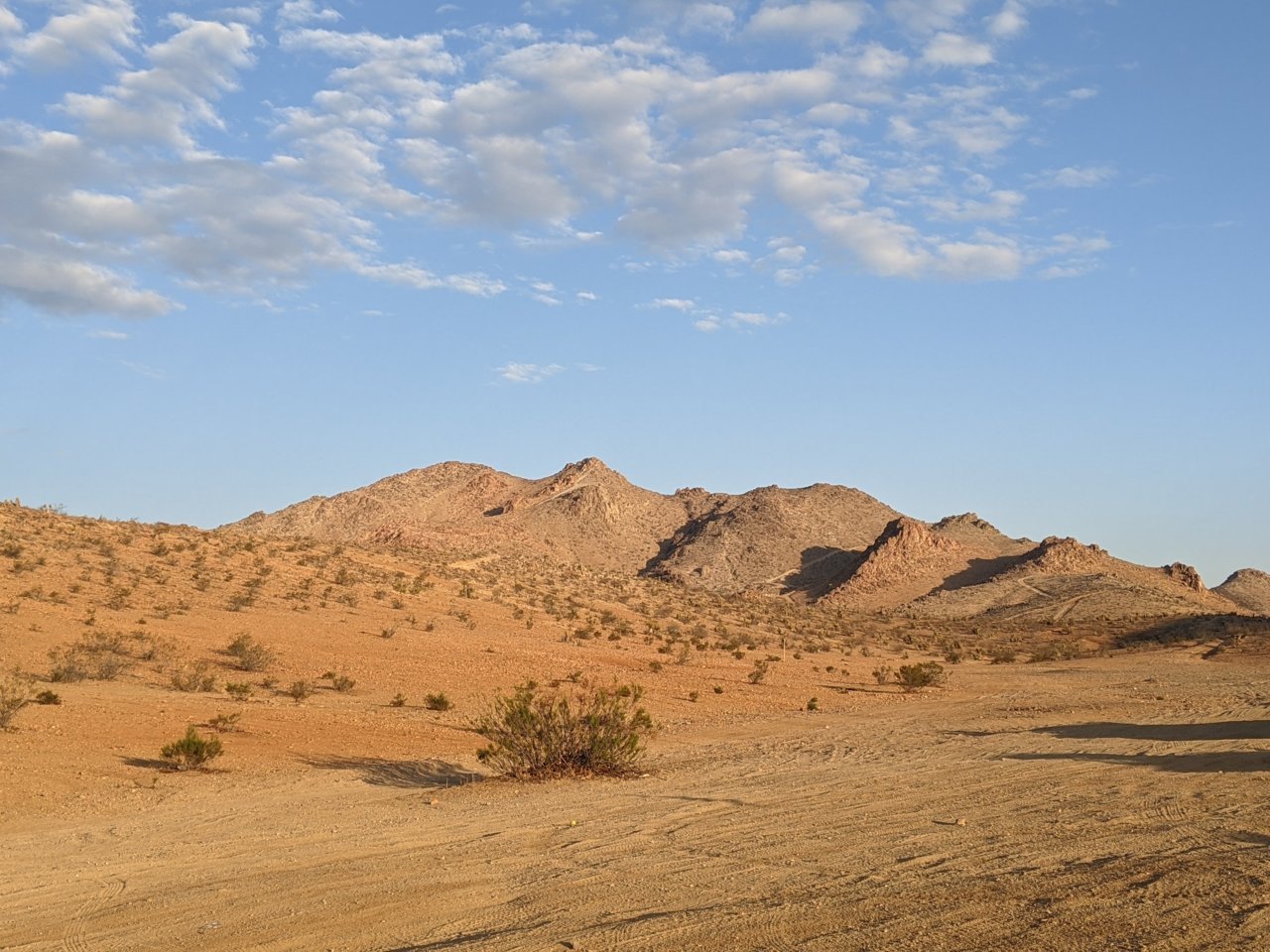 PXL_20210925_141552850.jpg
