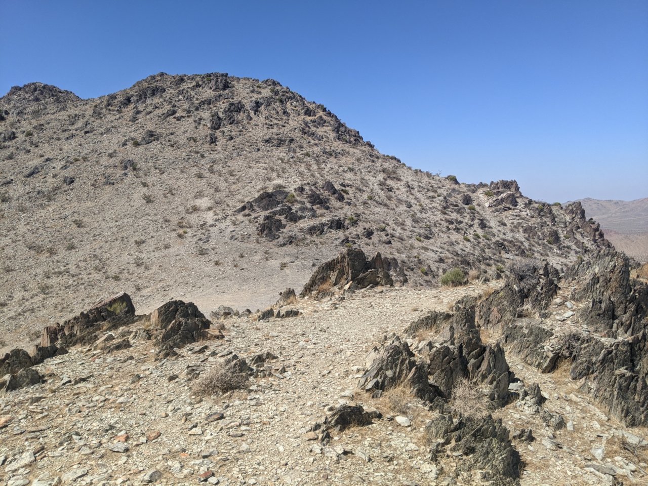 PXL_20210926_185308274.jpg
