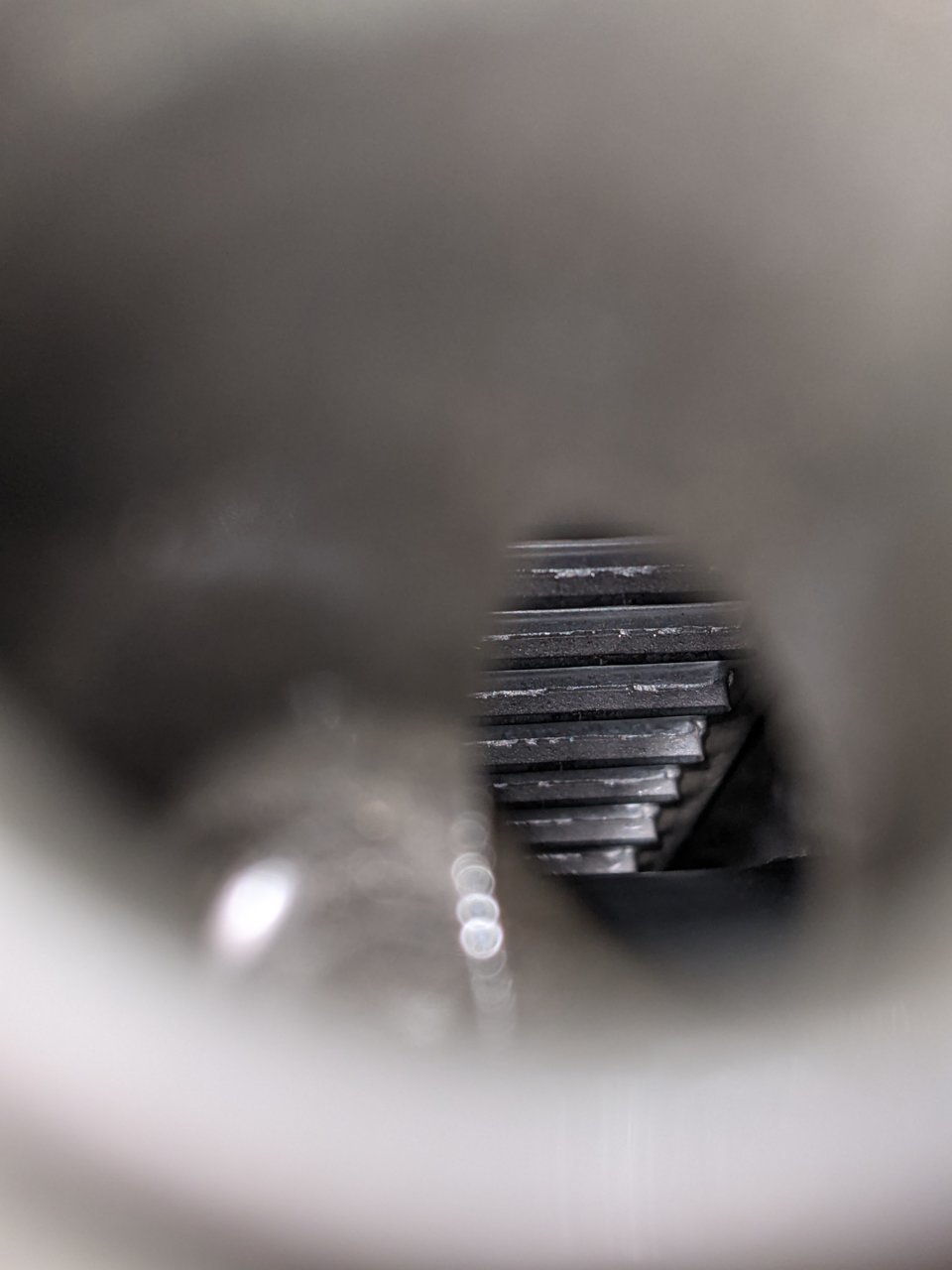 PXL_20211005_014642344.jpg