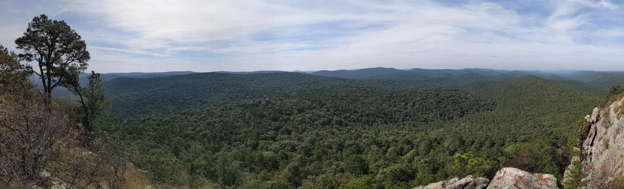 PXL_20211009_155416750.PANO.jpg