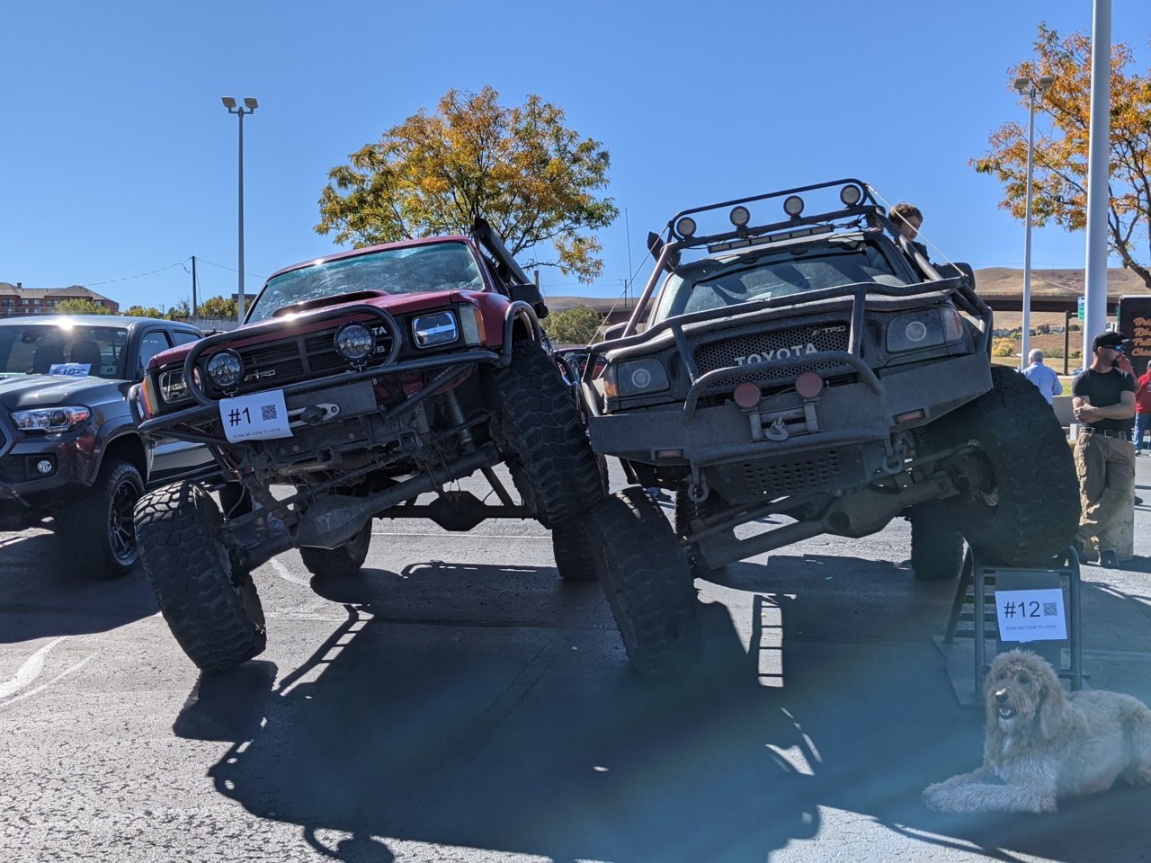 PXL_20211016_175246961.jpg