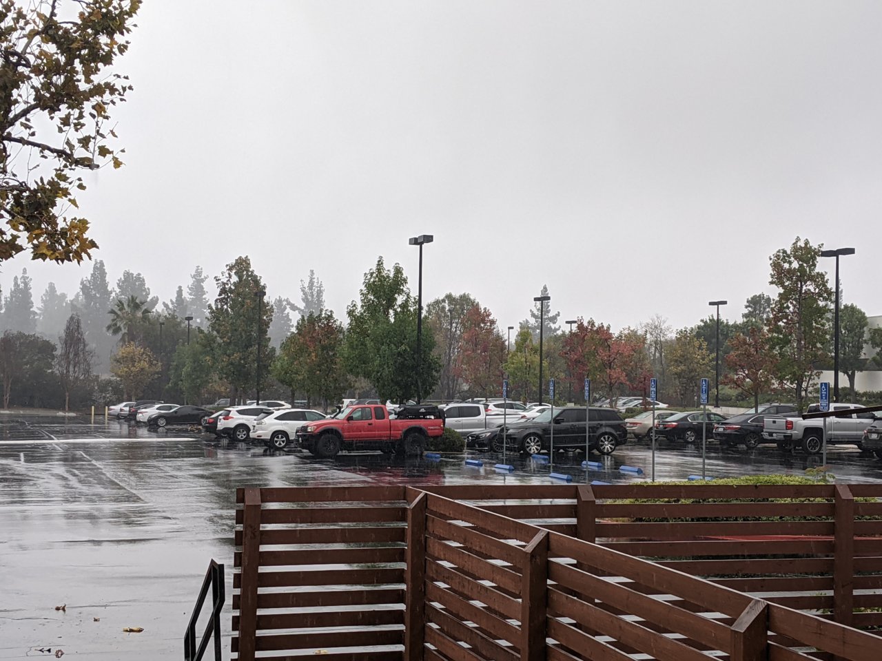 PXL_20211025_171441454.jpg