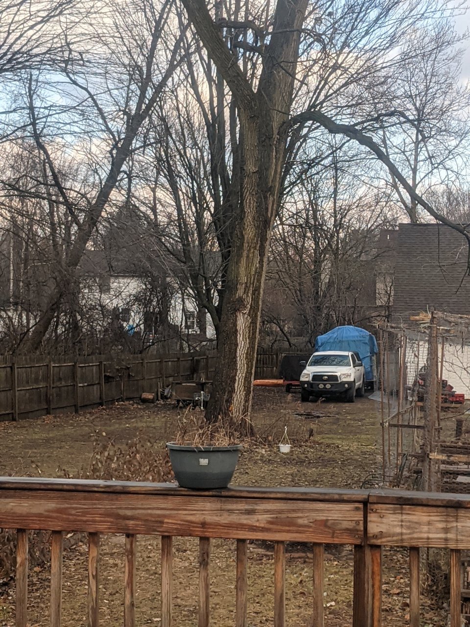 PXL_20211211_151759127.jpg