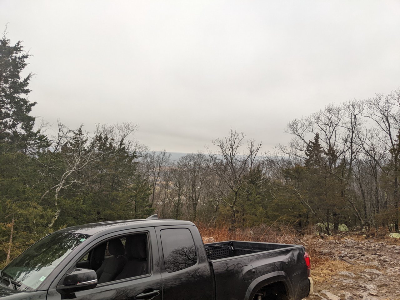 PXL_20211218_154512495.MP.jpg