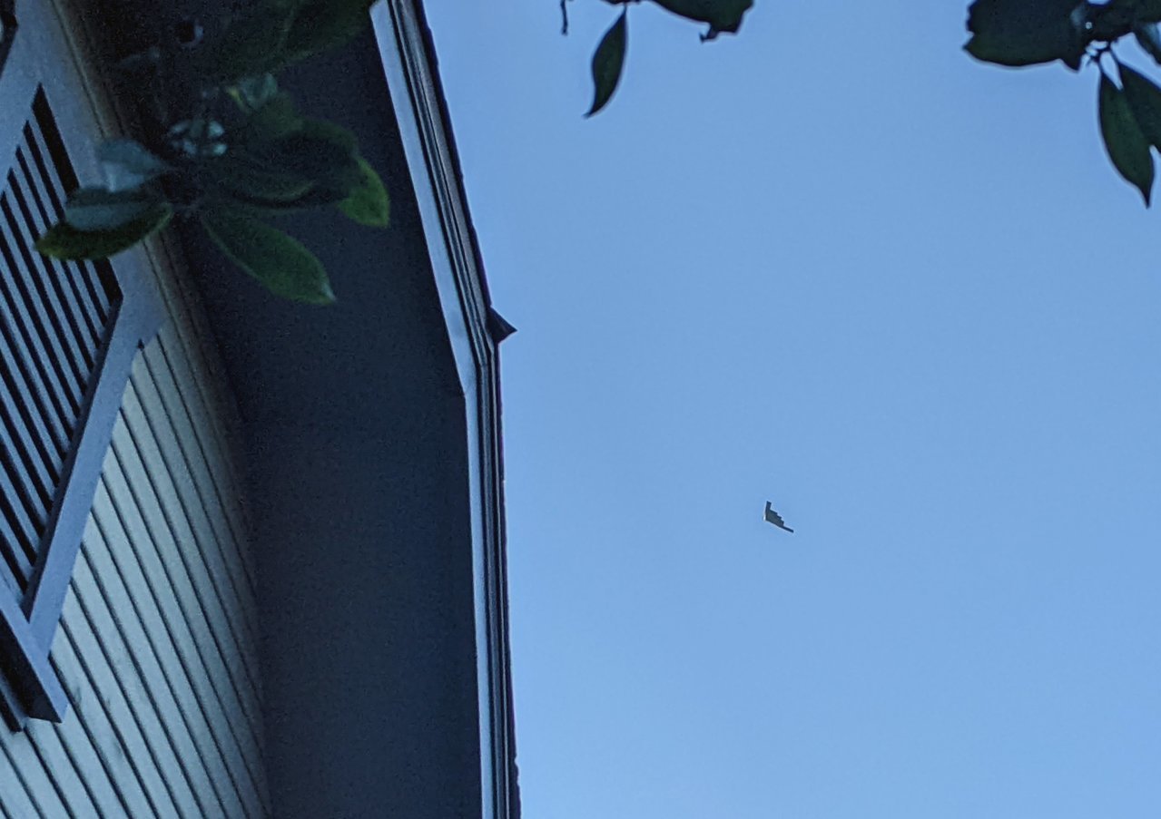 PXL_20220101_160622004~2.jpg