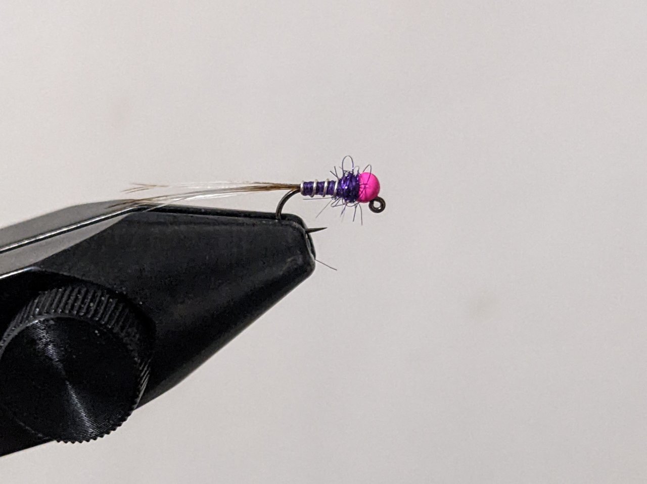 PXL_20220126_032419017.jpg