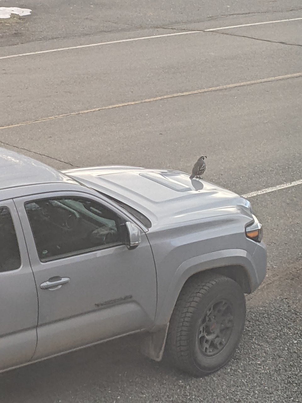 PXL_20220220_153842068.MP.jpg