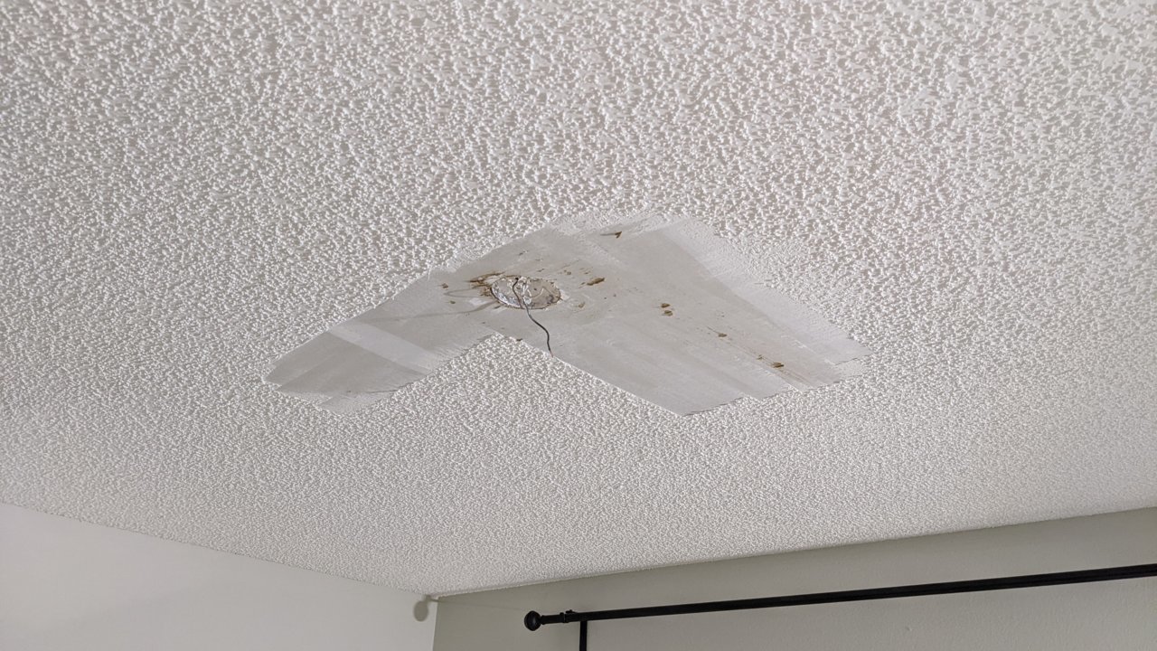 PXL_20220303_025727147.jpg