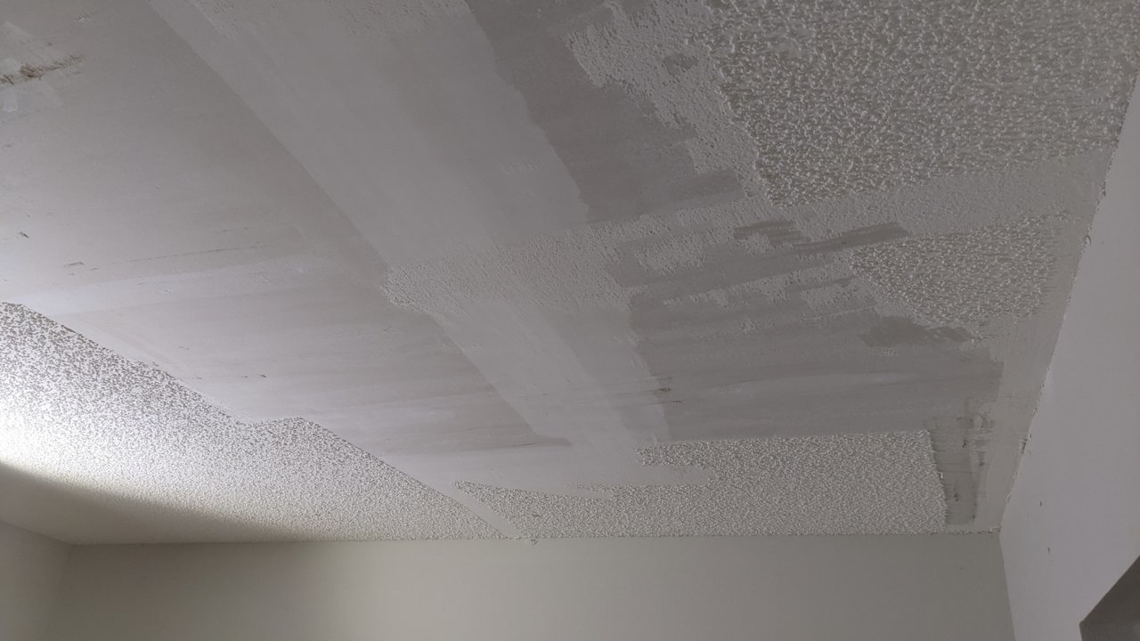 PXL_20220303_041334425.jpg