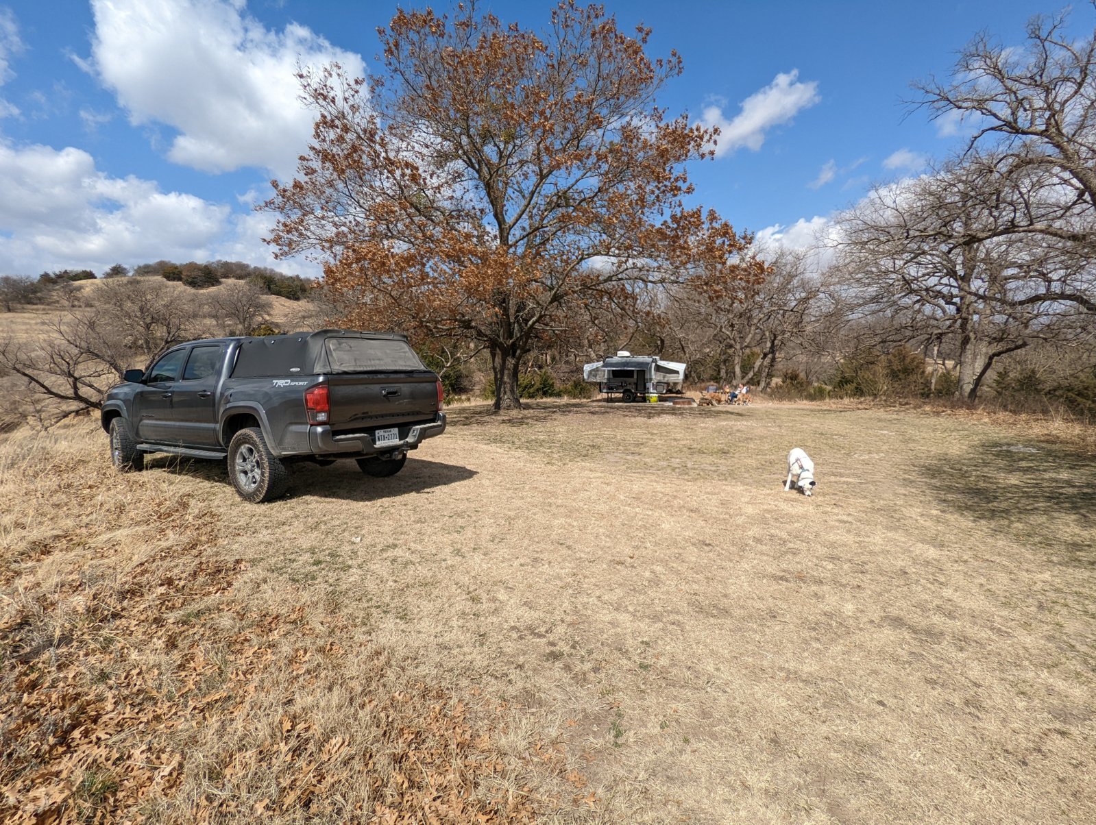 PXL_20220305_182521830.jpg