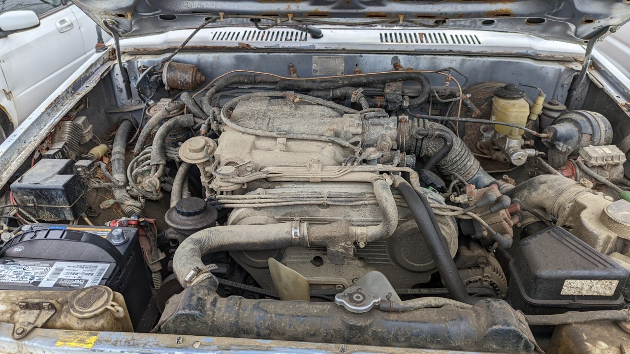 PXL_20220403_173051781.jpg