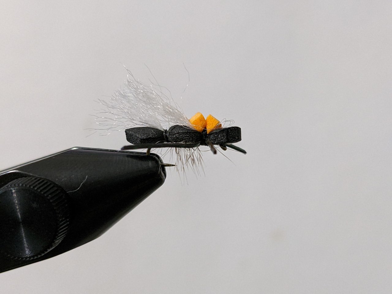 PXL_20220525_021521862.jpg