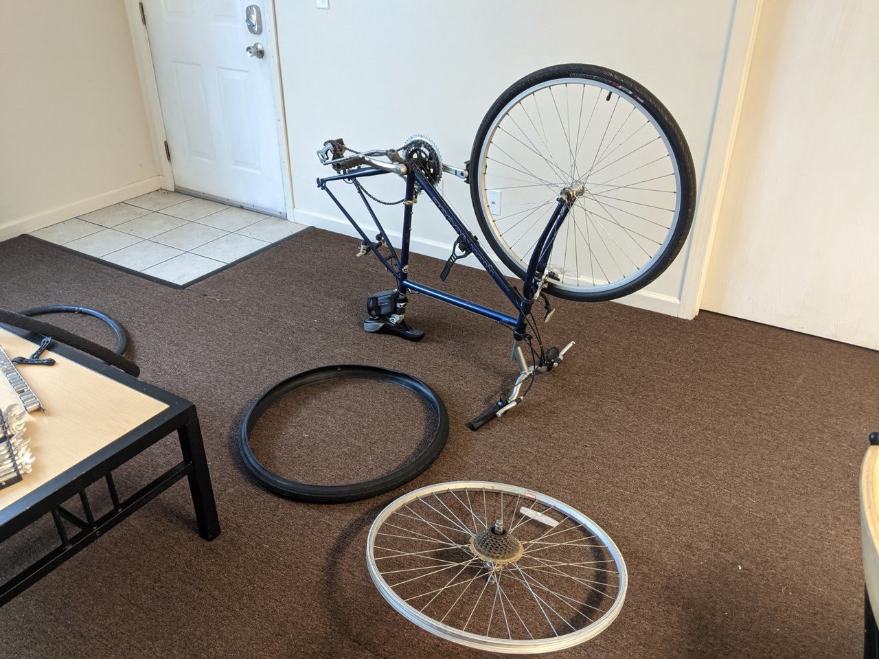 PXL_20220530_211638117.jpg