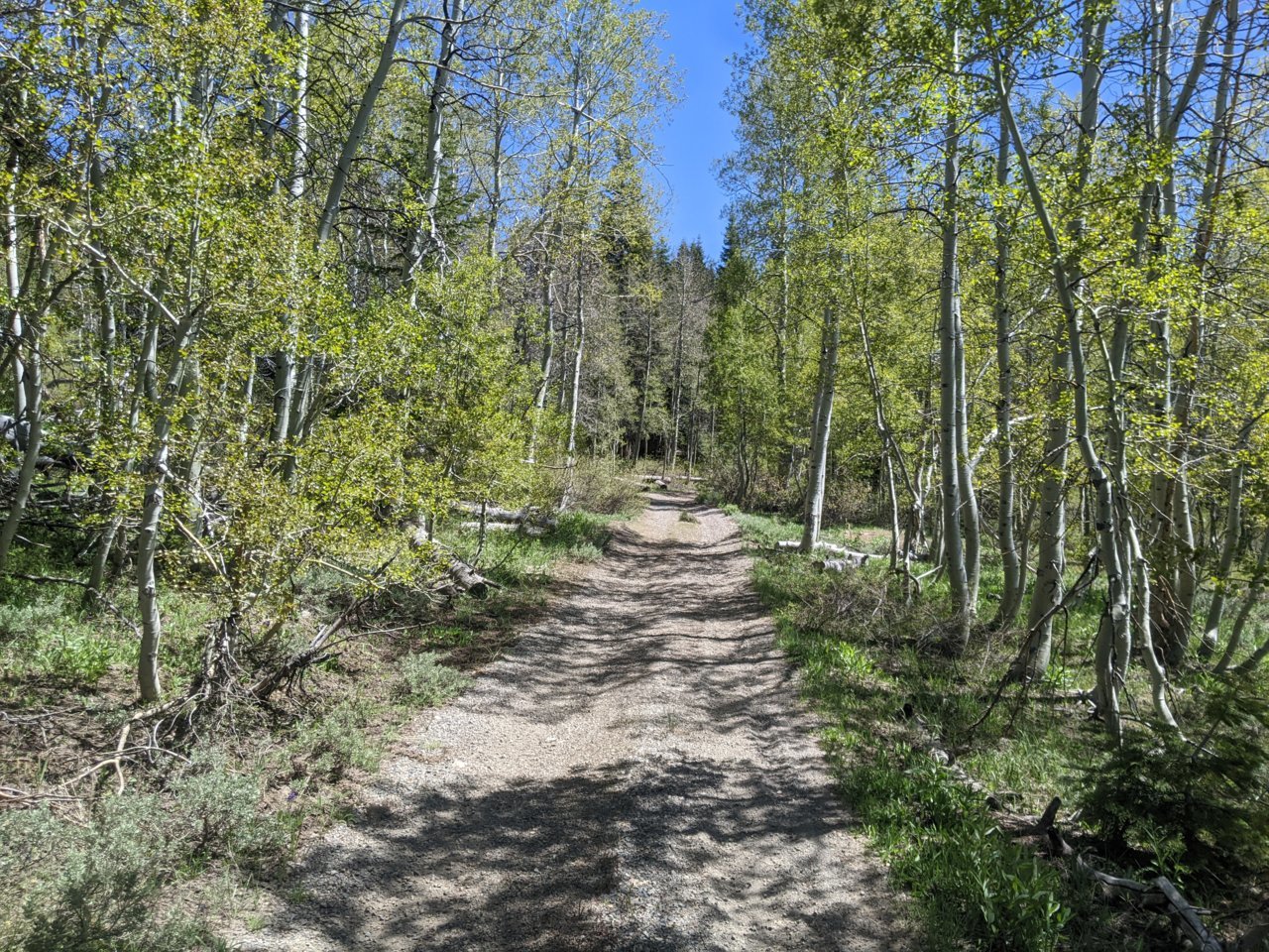 PXL_20220601_212245299.jpg