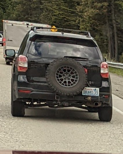 PXL_20220618_000539164.MP.jpg