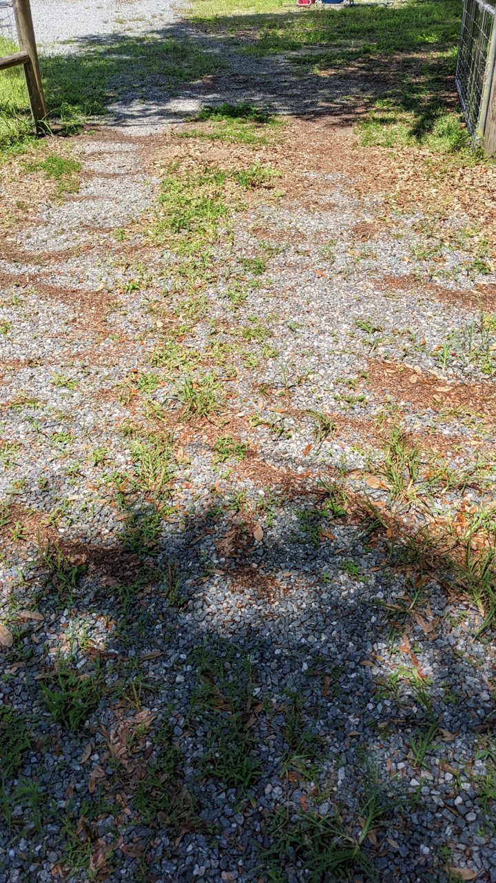 PXL_20220706_155632283.jpg