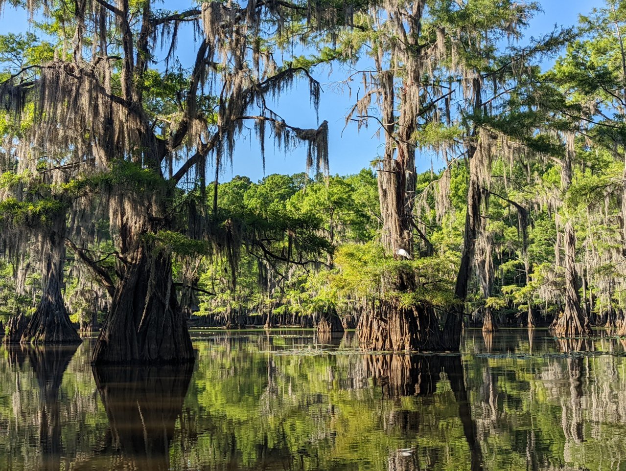 PXL_20220709_134931396.jpg