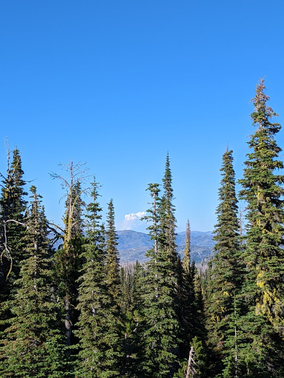PXL_20220724_010305128.jpg
