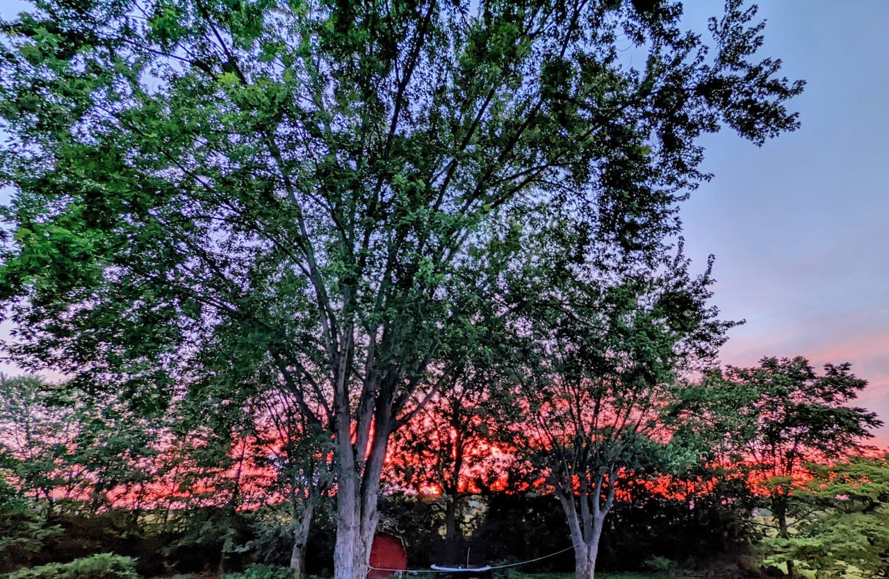 PXL_20220729_005949857.NIGHT~2.jpg
