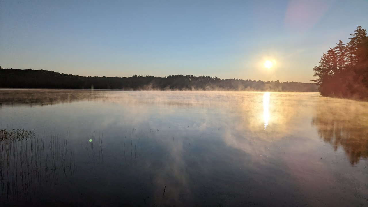 PXL_20220801_103703683.jpg