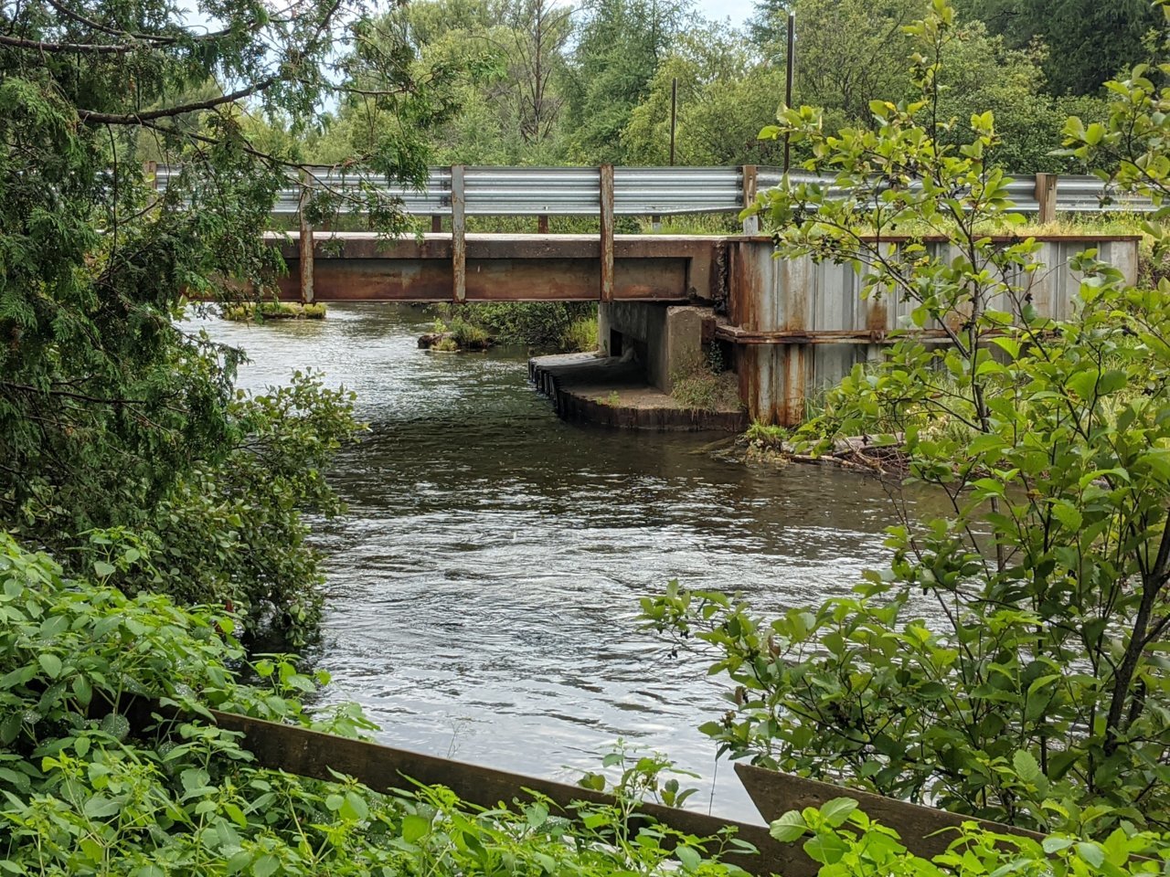 PXL_20220803_165553363.jpg