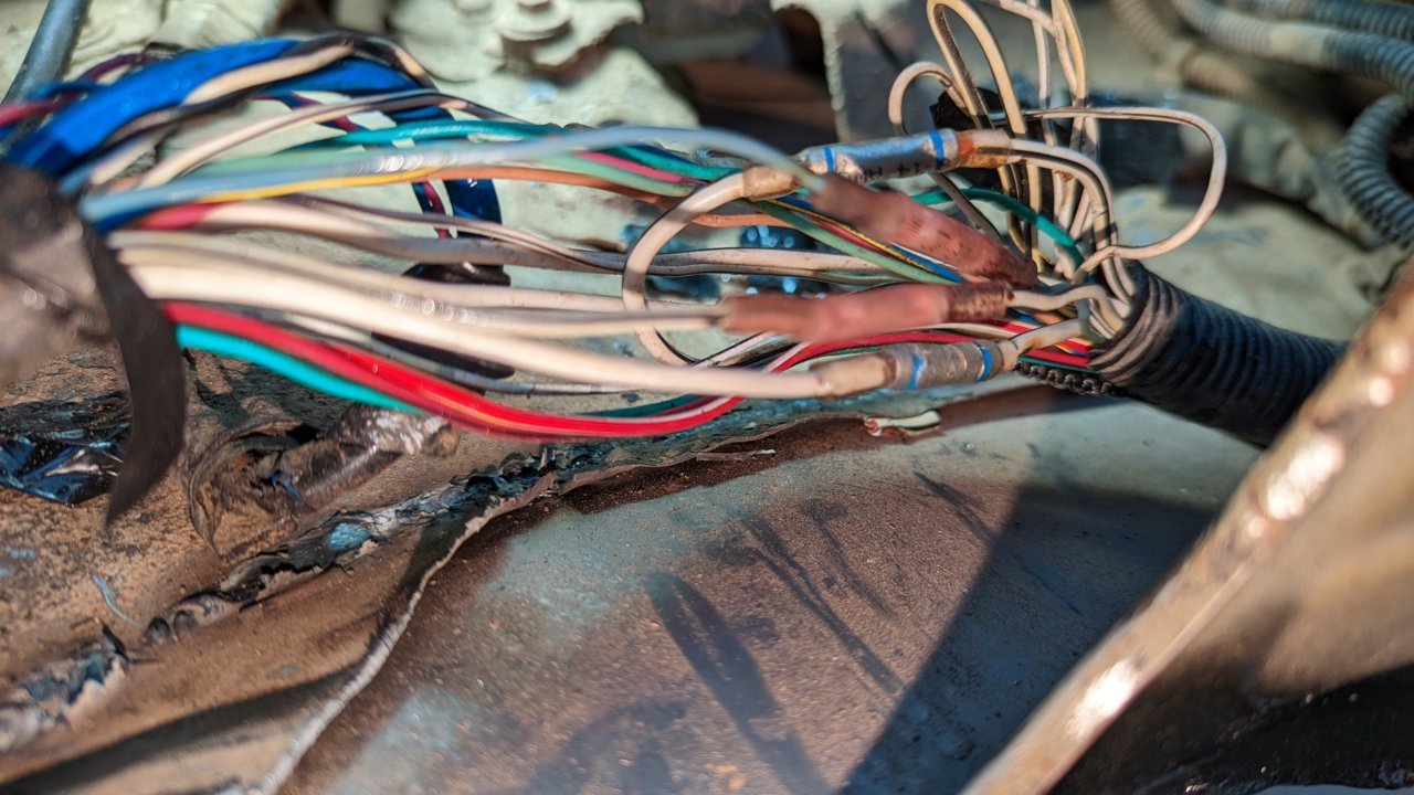 PXL_20220810_104613198.jpg