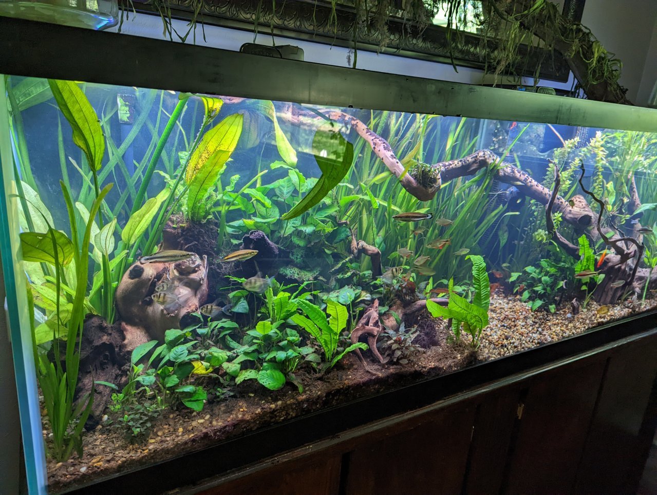 PXL_20220813_201856688.jpg