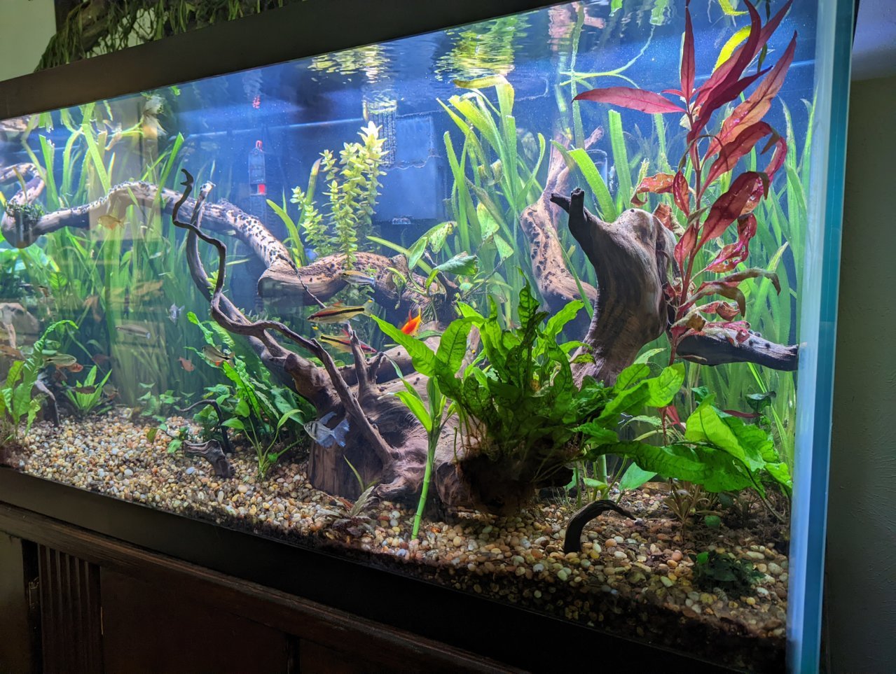 PXL_20220813_201938566.jpg