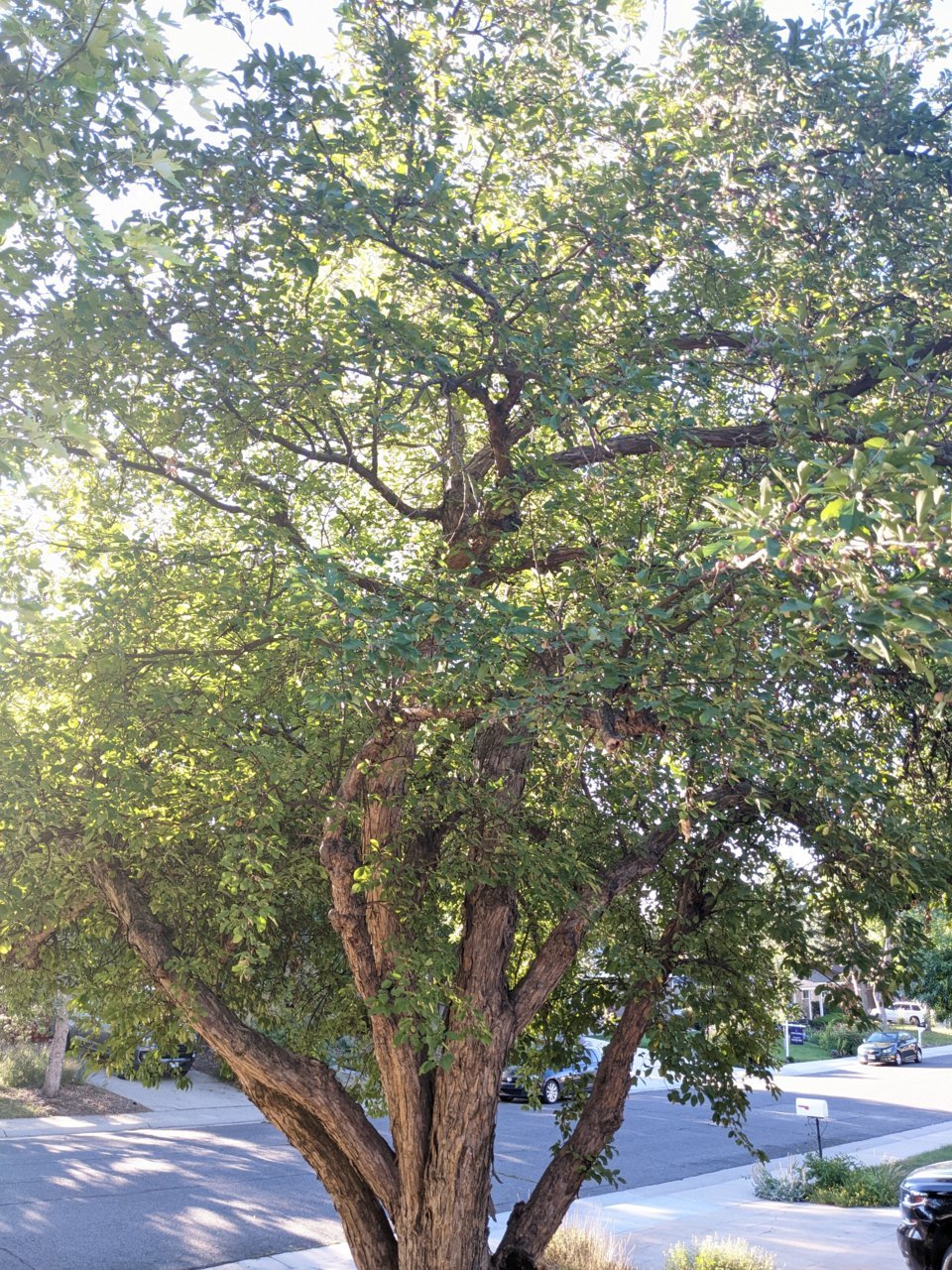 PXL_20220827_135949252.jpg