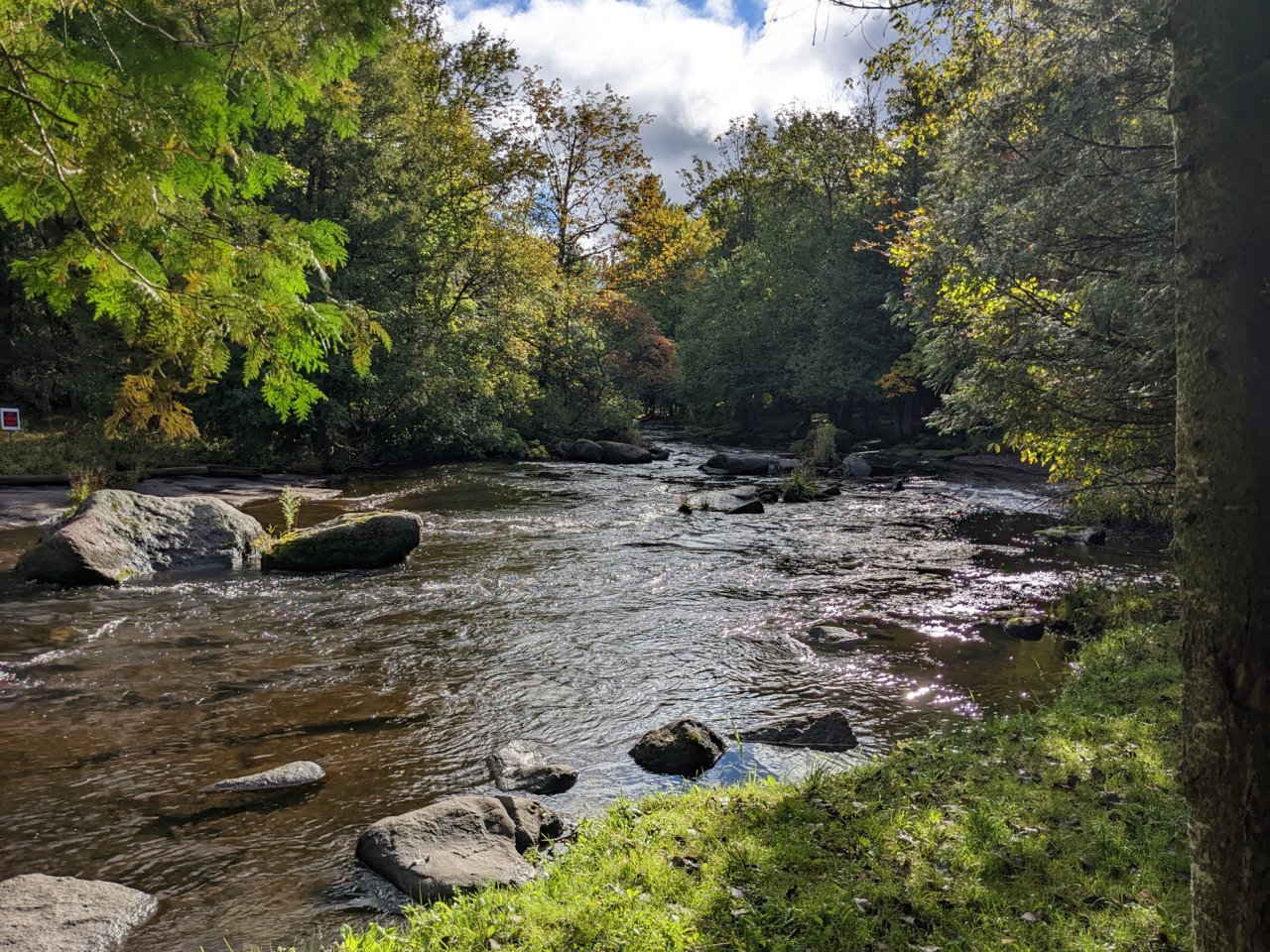 PXL_20220925_141711291.MP.jpg