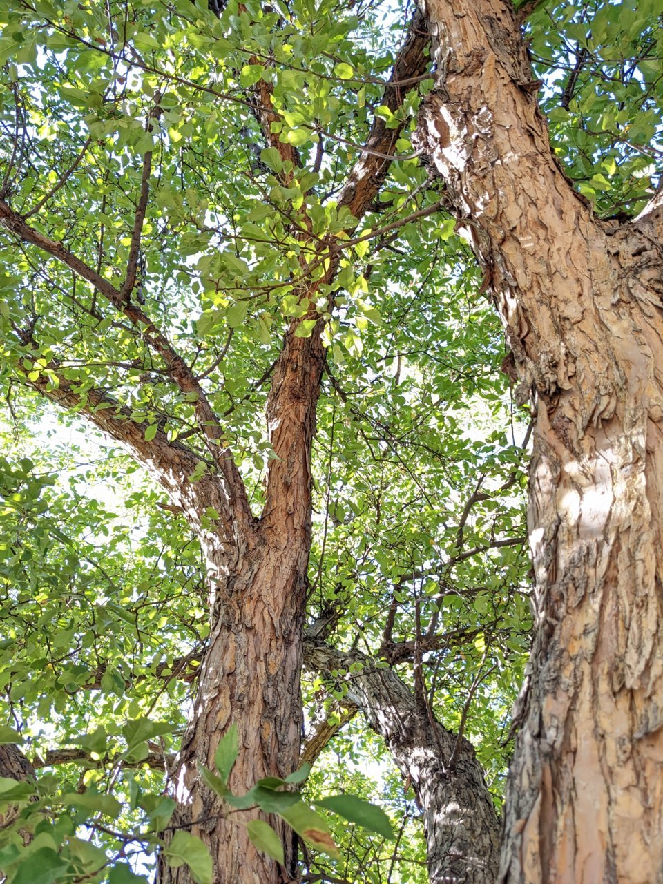 PXL_20220925_222238086.jpg