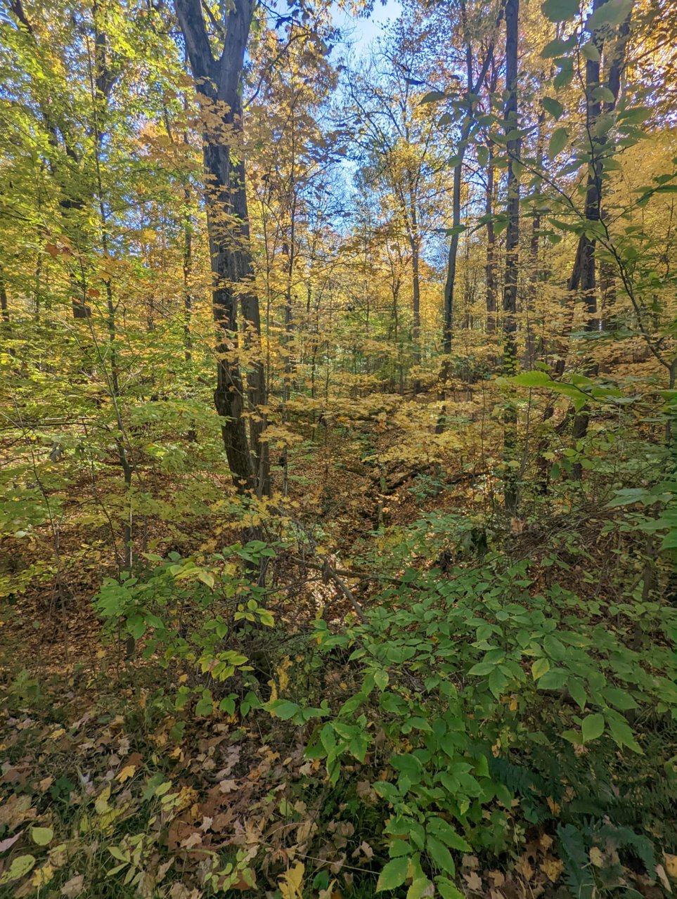 PXL_20221022_150142068.jpg