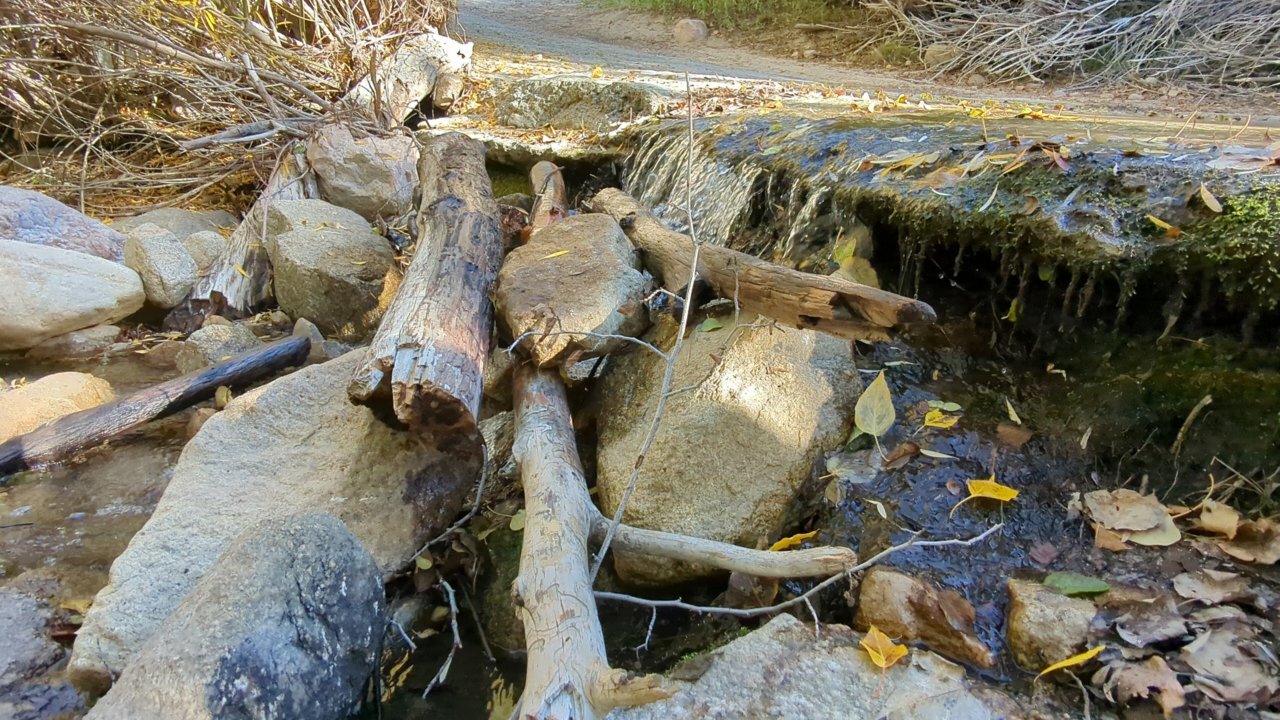 PXL_20221022_162935790.jpg