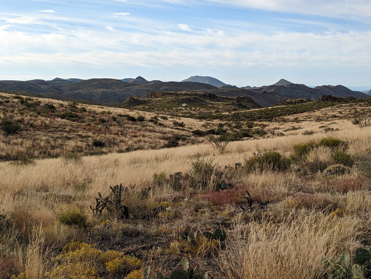PXL_20221031_143620538.jpg