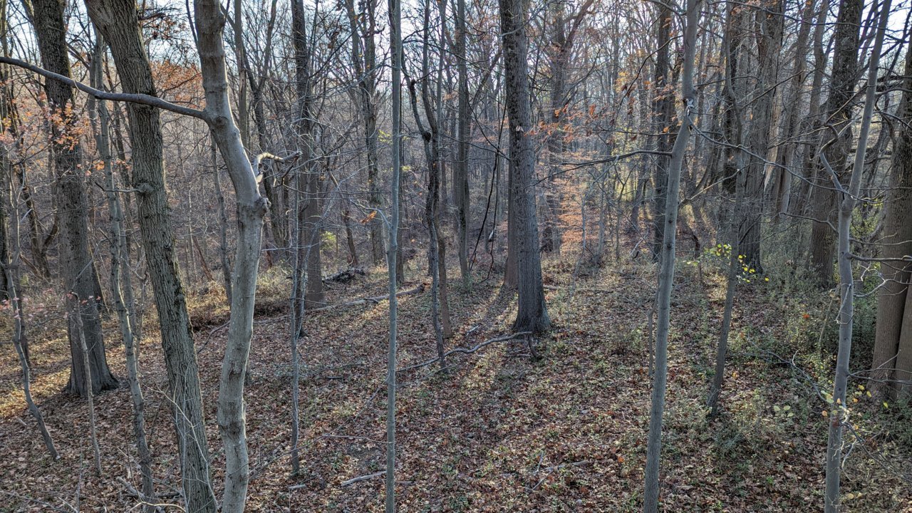 PXL_20221123_195848245.jpg