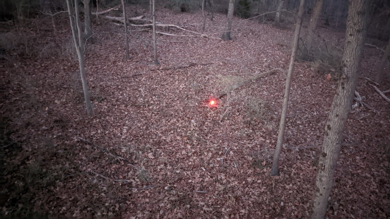 PXL_20221125_221122863.jpg