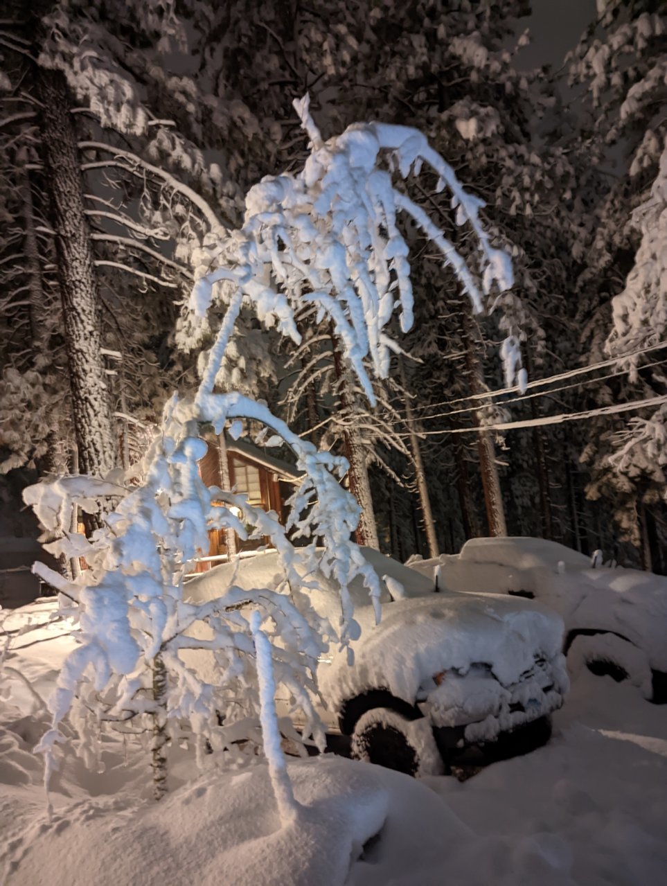 PXL_20221211_054752882.jpg